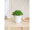 Горшок для цветов Idiland Oregano D 100 мм, 0.5 л, с прикорневым поливом, мраморный 221602033/01 2