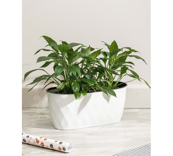Горшок для цветов Idiland Laurel 354x152x150 мм, 5 л, с дренажной вставкой, белый 221611129/01