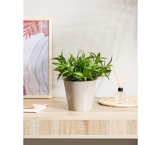 Горшок для цветов Idiland Rosemary D 160 мм, 1.6 л, с дренажной вставкой, бежевый 221605427/01