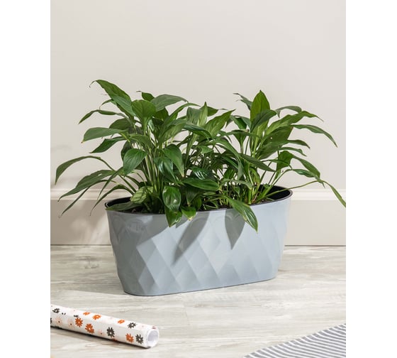 Горшок для цветов Idiland Laurel 354x152x150 мм, 5 л, с дренажной вставкой, серый 221611135/03