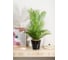 Горшок для цветов Idiland Rosemary D 200 мм, 4 л, с дренажной вставкой, черный 221600130/01 4