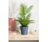 Горшок для цветов Idiland Rosemary D 230 мм, 5 л, с дренажной вставкой, серый 221605935/01 3