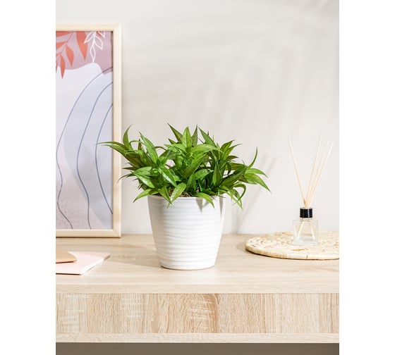 Горшок для цветов Idiland Saffron D 146 мм, 1.5 л, с поддоном, белый 221610129/01