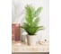 Горшок для цветов Idiland Velvet D 230 мм, 5 л, бежевый 221603027/01 5