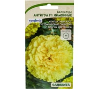 Семена Садовита Бархатцы Антигуа F1 Лимонные 5 шт. Syngenta 00224002
