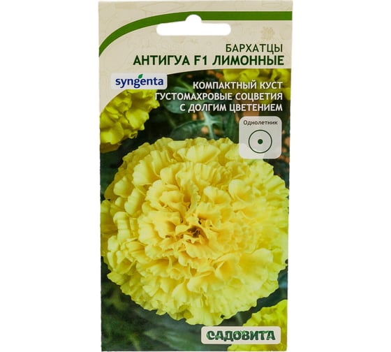 Семена Садовита Бархатцы Антигуа F1 Лимонные 5 шт. Syngenta 00224002
