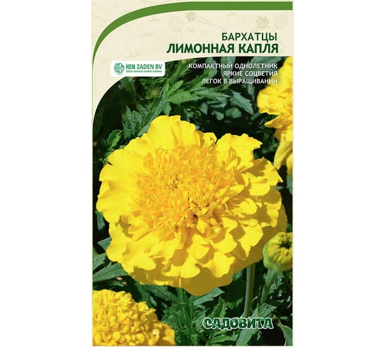 Семена Садовита Бархатцы Лимонная Капля 0.3 г 00222510