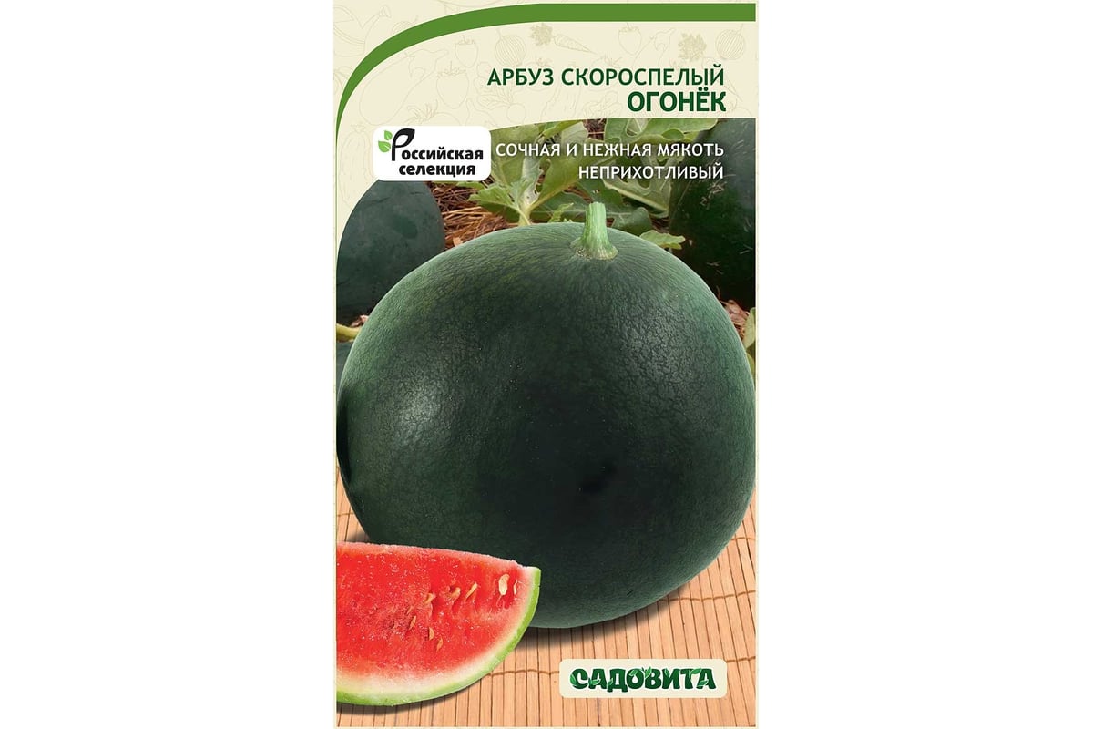 Арбуз огонек описание и фото