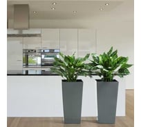 Кашпо LAMELA Sp.z o. 541 FINEZJA 35x35 h 68 см антрацит с вкладышем 060620