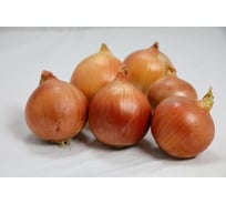 Кремень семена лука репчатого желтого 1000 г ЭС (банка) ELITE PLANT-BREEDING & SEED PRODUCTION Co. 10710929