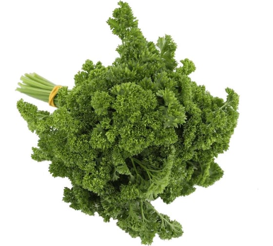 Ажур семена петрушки кудрявой 50 г ЭС ELITE PLANT-BREEDING & SEED PRODUCTION Co. 1026995423