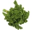 Ажур семена петрушки кудрявой 50 г ЭС ELITE PLANT-BREEDING & SEED PRODUCTION Co. 1026995423 3