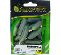 Баварец F1 семена огурца 100 шт ЭС мини ELITE PLANT-BREEDING & SEED PRODUCTION Co. 1070009258