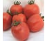 Агрессор F1 семена томата 100 шт ЭС мини ELITE PLANT-BREEDING & SEED PRODUCTION Co. 1026993612 2