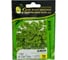 Ажур семена петрушки кудрявой 10 г ЭС мини ELITE PLANT-BREEDING & SEED PRODUCTION Co. 1999947924 1