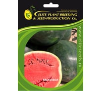 Баскетбол семена арбуза 100 шт ЭС мини ELITE PLANT-BREEDING & SEED PRODUCTION Co. 1071860357