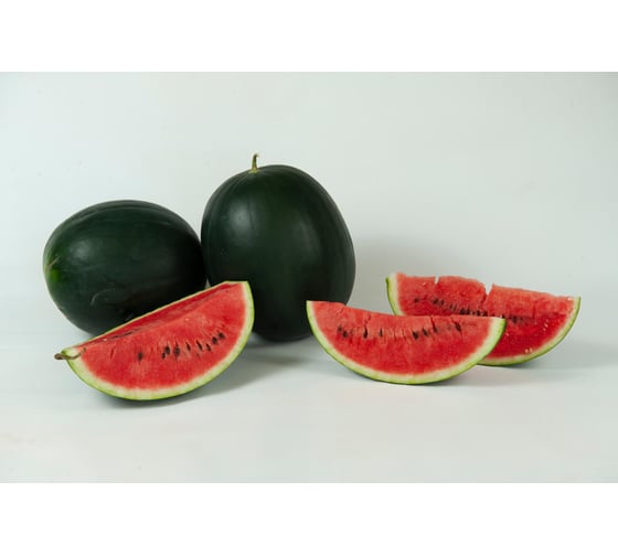 Баскетбол семена арбуза 100 шт ЭС мини ELITE PLANT-BREEDING & SEED PRODUCTION Co. 1071860357