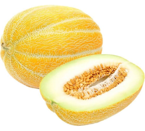 Ганнибал семена дыни 10 г ЭС мини ELITE PLANT-BREEDING & SEED PRODUCTION Co. 1070008291