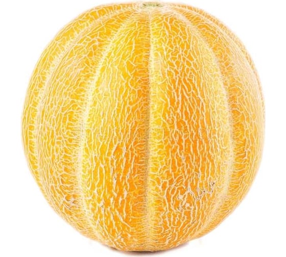 Ганнибал семена дыни 10 г ЭС мини ELITE PLANT-BREEDING & SEED PRODUCTION Co. 1070008291