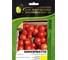 Консерватто F1 семена томата 50 шт ЭС мини ELITE PLANT-BREEDING & SEED PRODUCTION Co. 1999942726 1