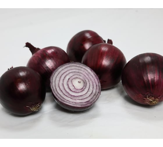 Антарес F1 семена лука репчатого красного 50 г ЭС ELITE PLANT-BREEDING & SEED PRODUCTION Co. 1912236656