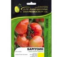 Баргузин F1 семена томата 20 шт ЭС мини ELITE PLANT-BREEDING & SEED PRODUCTION Co. 1071855692