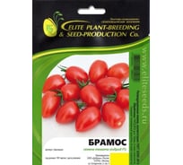 Брамос F1 семена томата 10 шт ЭС мини ELITE PLANT-BREEDING & SEED PRODUCTION Co. 1026995238