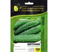 Бегунок F1 семена огурца 100 шт ЭС мини ELITE PLANT-BREEDING & SEED PRODUCTION Co. 1026993526