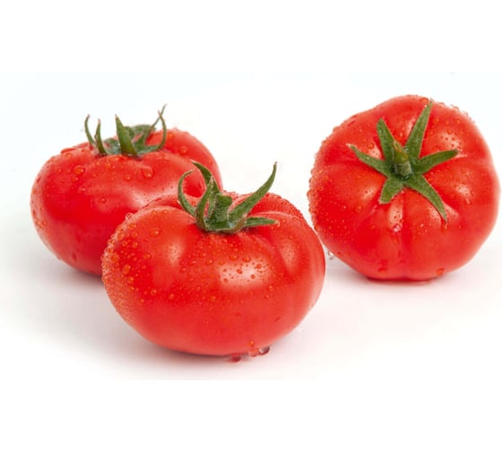 Баргузин F1 семена томата 100 шт ЭС мини ELITE PLANT-BREEDING & SEED PRODUCTION Co. 1026993648