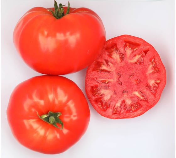 Ангара F1 семена томата 100 шт ЭС мини ELITE PLANT-BREEDING & SEED PRODUCTION Co. 1026993646
