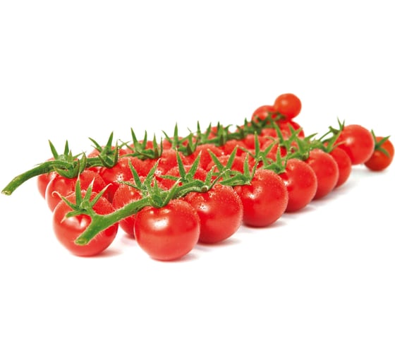 Бонбон F1 семена томата 100 шт ЭС мини ELITE PLANT-BREEDING & SEED PRODUCTION Co. 1026993587