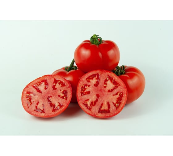 Алабай F1 семена томата 500 шт ЭС мини ELITE PLANT-BREEDING & SEED PRODUCTION Co. 10717292