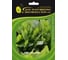 Гринго семена щавеля 50 г ЭС ELITE PLANT-BREEDING & SEED PRODUCTION Co. 1026995457 1