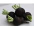 Карбон семена редьки черной 50 г ЭС ELITE PLANT-BREEDING & SEED PRODUCTION Co. 10710922 2