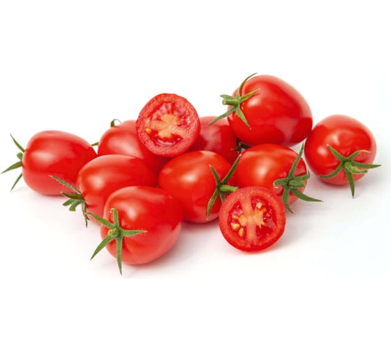 Брамос F1 семена томата 100 шт ЭС мини ELITE PLANT-BREEDING & SEED PRODUCTION Co. 1026993649