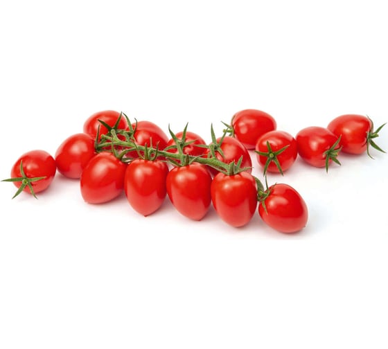 Брамос F1 семена томата 100 шт ЭС мини ELITE PLANT-BREEDING & SEED PRODUCTION Co. 1026993649