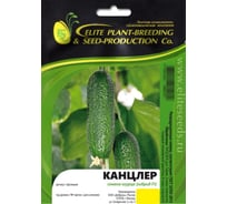 Канцлер F1 семена огурца 500 шт ЭС мини ELITE PLANT-BREEDING & SEED PRODUCTION Co. 1071860292