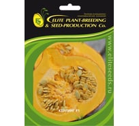 Керлинг F1 семена тыквы 100 шт ЭС мини ELITE PLANT-BREEDING & SEED PRODUCTION Co. 1071860365