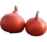 Керлинг F1 семена тыквы 100 шт ЭС мини ELITE PLANT-BREEDING & SEED PRODUCTION Co. 1071860365 3