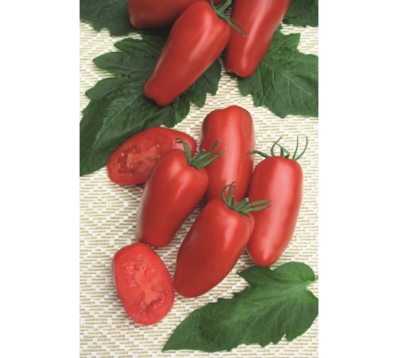 Гаспачо семена томата 100 шт ЭС мини ELITE PLANT-BREEDING & SEED PRODUCTION Co. 1999942729