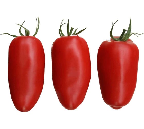 Гаспачо семена томата 100 шт ЭС мини ELITE PLANT-BREEDING & SEED PRODUCTION Co. 1999942729