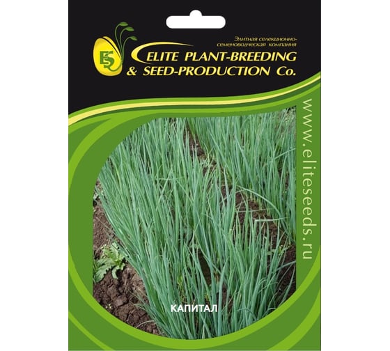 Капитал семена лука батуна (на зелень) 50 г ЭС ELITE PLANT-BREEDING & SEED PRODUCTION Co. 10710868 1