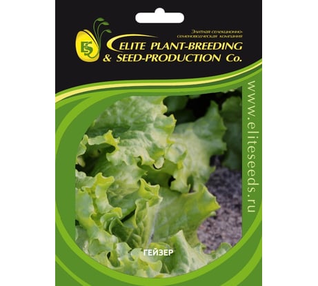 Гейзер семена салата батавия светло-зеленого 1900 шт ЭС мини ELITE PLANT-BREEDING & SEED PRODUCTION Co. 1070008419