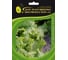 Гейзер семена салата батавия светло-зеленого 1900 шт ЭС мини ELITE PLANT-BREEDING & SEED PRODUCTION Co. 1070008419 1
