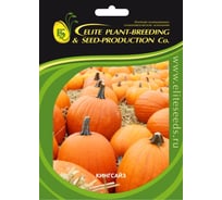 Кинг Сайз семена тыквы 100 шт ЭС ELITE PLANT-BREEDING & SEED PRODUCTION Co. 1026995221