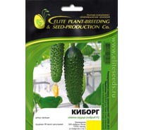 Киборг F1 семена огурца 100 шт ЭС мини ELITE PLANT-BREEDING & SEED PRODUCTION Co. 1026993678