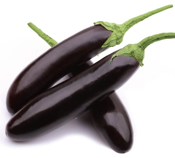 Индиго F1 семена баклажана 250 шт ЭС мини ELITE PLANT-BREEDING & SEED PRODUCTION Co. 1026995031