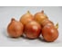Кремень семена лука репчатого желтого 20 г ЭС мини ELITE PLANT-BREEDING & SEED PRODUCTION Co. 1999945056 2