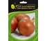 Кремень семена лука репчатого желтого 20 г ЭС мини ELITE PLANT-BREEDING & SEED PRODUCTION Co. 1999945056 1