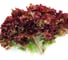 Грейс семена салата лоло-россо красного 1900 шт ЭС мини ELITE PLANT-BREEDING & SEED PRODUCTION Co. 1026995255 2